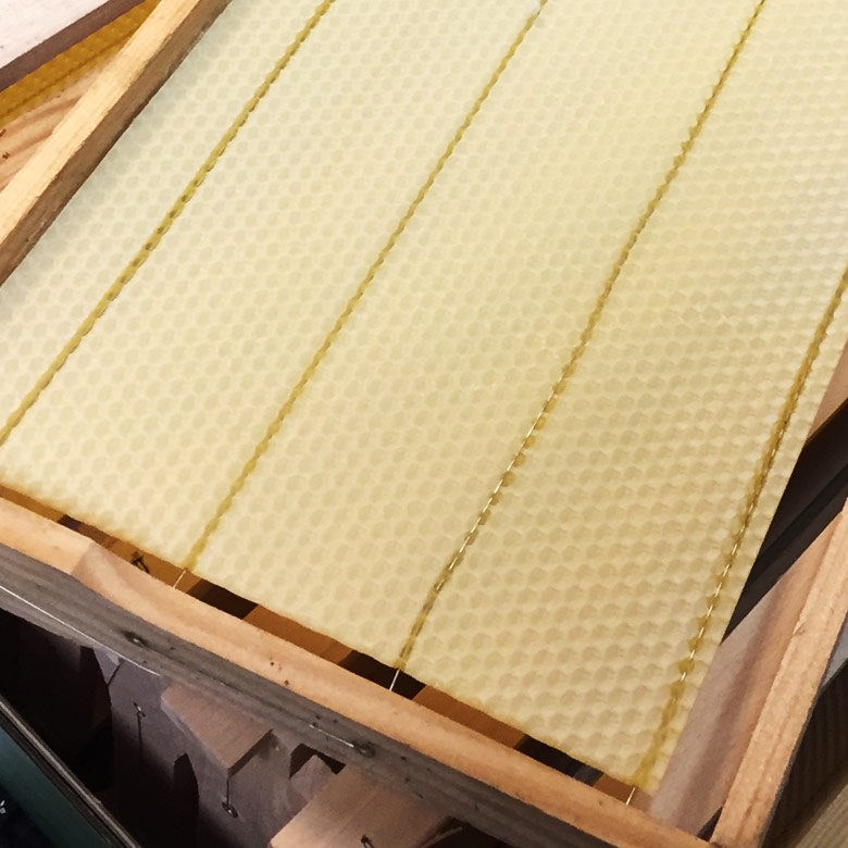 Honigwaben in der Imkerei Bee Perfect